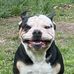Jerry Bartels - Facebook