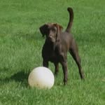 Jerry Barth - @jerry.barth - Instagram