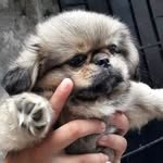 Jerry Bartholomé PM - @jerrybartholome - Instagram