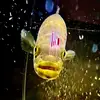 𝐉𝐞𝐫𝐫𝐲 𝐓𝐡𝐞 𝐁𝐚𝐬𝐬 🐟 - @jerry.the.bass - TikTok