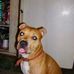 Jerry Batson - Facebook