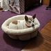 Jerry Baysinger - Facebook