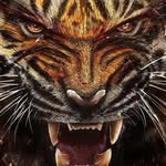 Jerry Beard - @jerrybeard1106 - Instagram