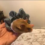 Jerry Bee - @jerry_bee_alison - Instagram