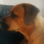 Jerry Beggs - @jweedsk8 - Instagram