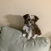 Gerry Bellows - Facebook