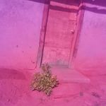 Jerry benally - @jerrybenallyjery - Instagram
