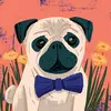 Jerry Benavides - @jerry.benavides1 - TikTok