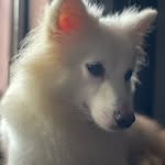 Jerry Benedict - @jerryry80 - Instagram