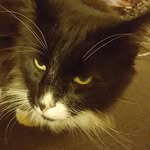 Jerry Benedict Schaffer - @jerry_schaffer - Instagram