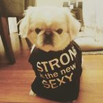 Jerry "Bear" Berkowitz - @jerry.berkowitz - Instagram
