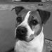 Jerry Bernstein - Facebook