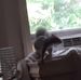Jerry Biddle - Facebook