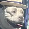 jerrybiggers - @jerrybiggers - TikTok
