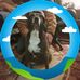 Gerry Bjork - Facebook