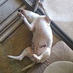 Jerry Blocker - @blockerjerry - Instagram