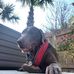 Jerry Blythe - Facebook