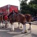 Jerry Bohnert - Facebook