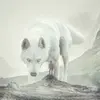 jerryboothe799 - @jerryboothe799 - TikTok
