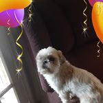 Jerry Borden - @jerry.borden.121 - Instagram