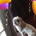 Jerry Borden - Facebook