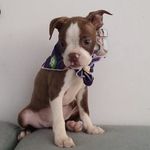 @jerry.boston21 - Instagram