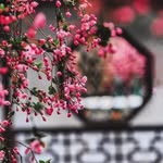 Jerry Boston - @brokenkudi2218 - Instagram