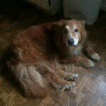 Jerry Bowens - @jerrybowens - Instagram
