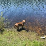 _Richard Douglas Clark - @jerry_boykin - Instagram