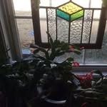 Jerry Bozeman - @jerrybozeman - Instagram
