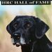 Jerry Bozeman - Facebook