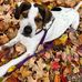 Jerry Brasher - Facebook