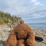 Jerry Brenden - @jerry.brenden - Instagram