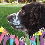 Jerry Brewster - @brewster.jerry - Instagram