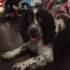 jerry brewster - @jerry.brewster6 - TikTok