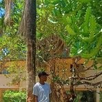 Jerry Brian - Facebook