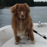 Jerry Briggs - @jerrybriggs5779 - Instagram