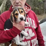 Jerry Briggs - @jerrybriggs4 - Instagram