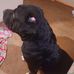 Jerry Boyd - Facebook