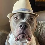 Jericho - @jerry_buggy1 - Instagram