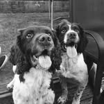 Buster And Jerry - @busterandjerry - Instagram