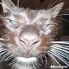 Jerry - @jerrybuster69 - TikTok