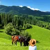 jerrycallaway34e2e1 - @jerrycallaway34e2e1 - TikTok