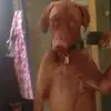 J'erry - @jerry_canales - TikTok