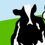 Cape May Ben&Jerrys - @benandjerryscapemay - Instagram