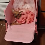 Jerry Cates - @jerry385802 - Instagram