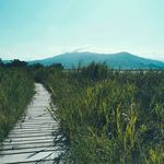 Jerry_catoni - @jerry_catoni - Instagram