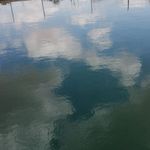 @jerrycaton_9 - Instagram