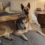 Jerry T Catron - @badtigger67 - Instagram