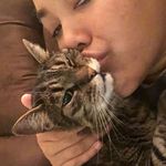 Jerr Bear - @jerry.the.catt - Instagram